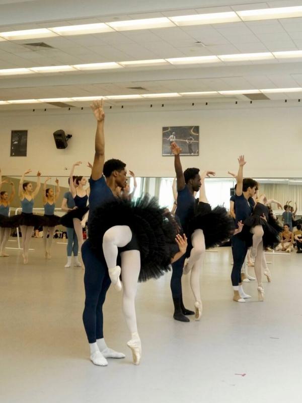 Devenir cygne par la danse