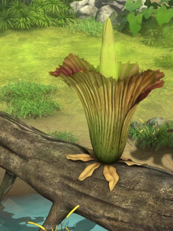 Le livre de la jungle S3 E11