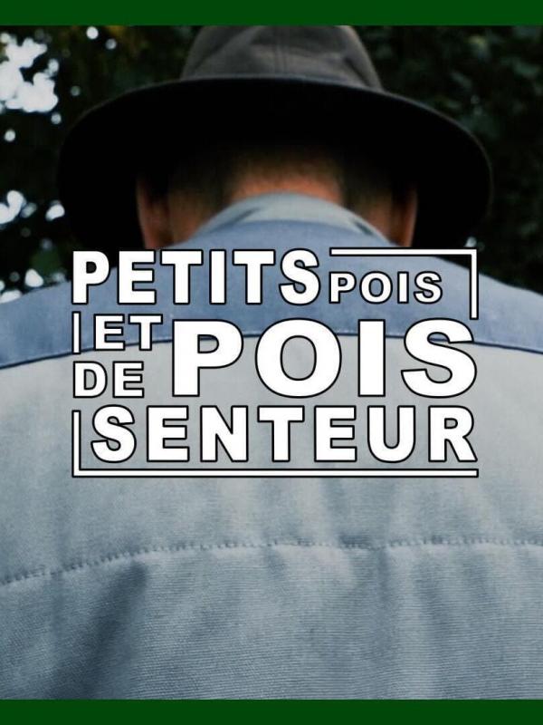 Petit pois et pois de senteur