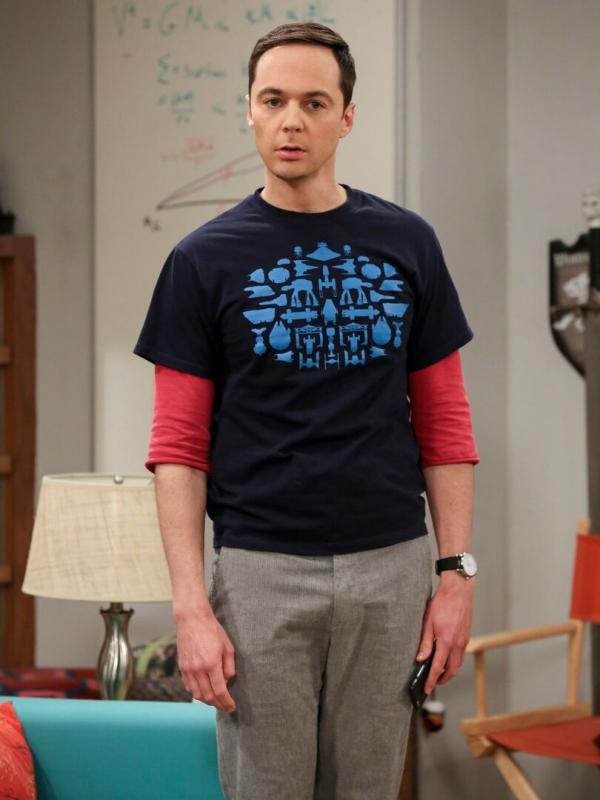 The Big Bang Theory S11 E23