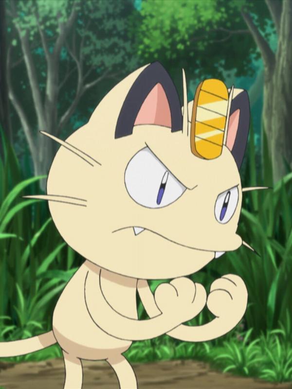 Pokémon : XY S19 E21