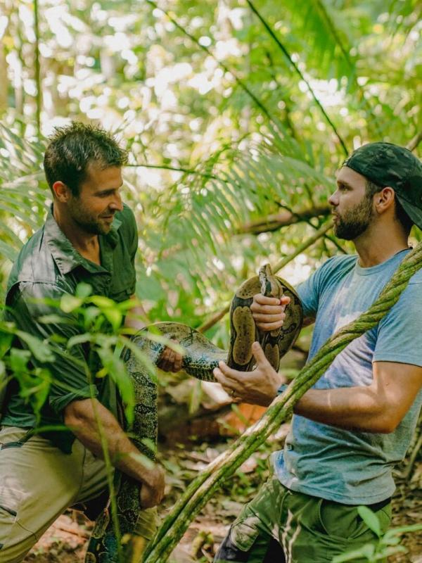 Morsures et piqûres : le grand test