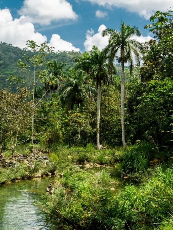 Destination Wild : L'Inde à l'état sauvage