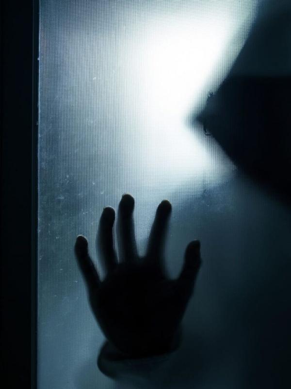 Mon voisin, ce tueur