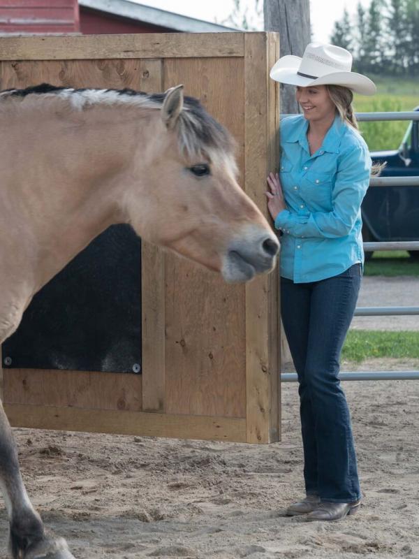 Heartland S11 E4