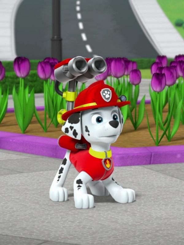 Pat' Patrouille S3 E16