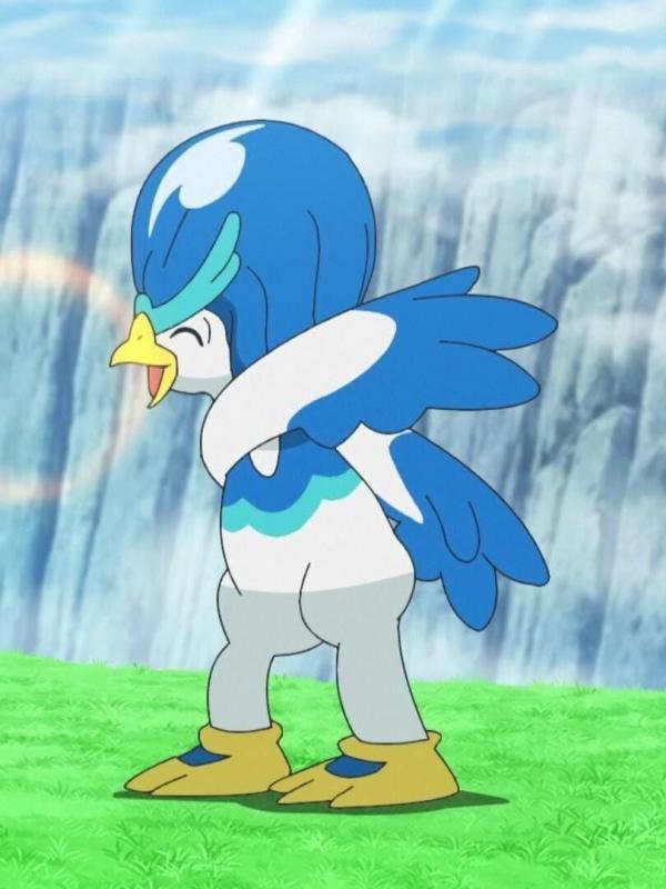 Pokémon : Les Horizons S1 E82