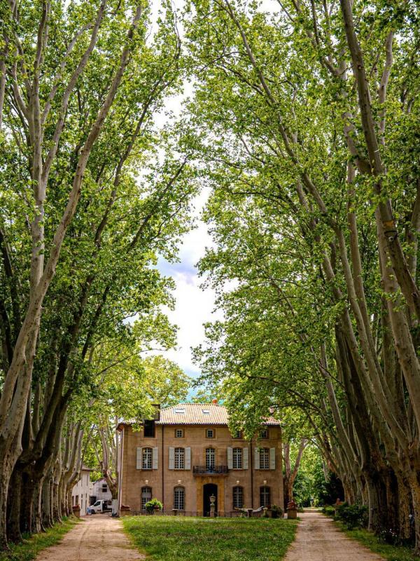 Cézanne et les secrets du Jas de Bouffan
