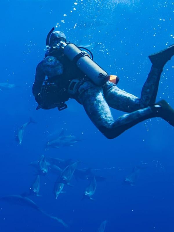 Au plus près des dauphins avec Bertie Gregory