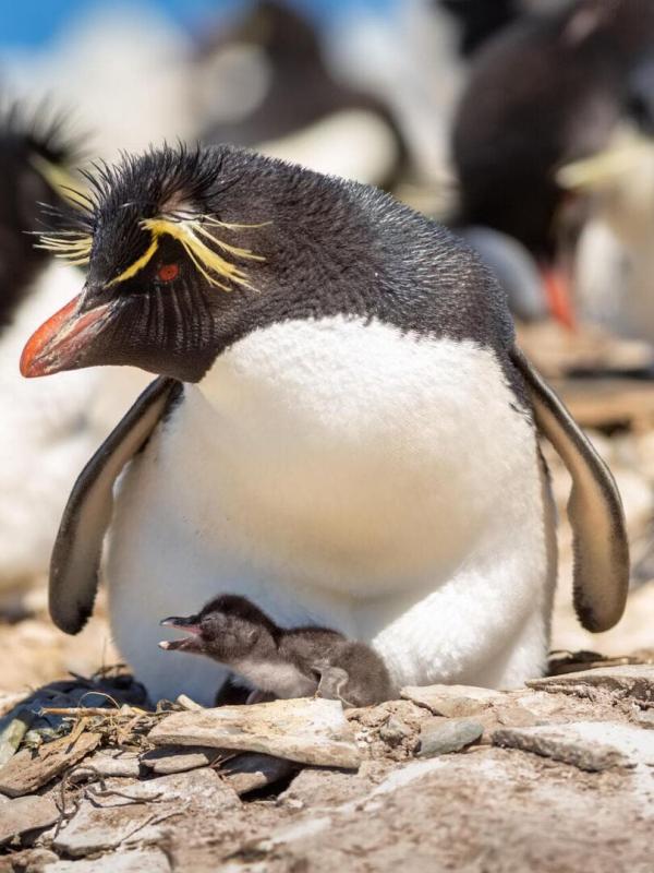 Une planète parfaite