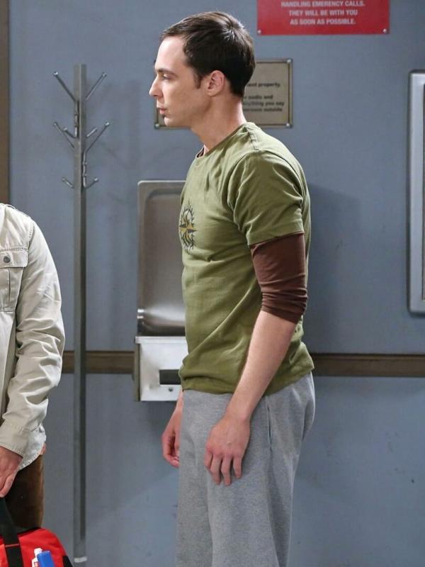 The Big Bang Theory S8 E1