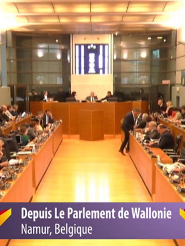 Questions parlementaires de la région Wallonne