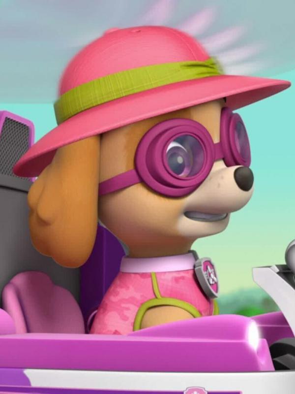 Pat' Patrouille S4 E7