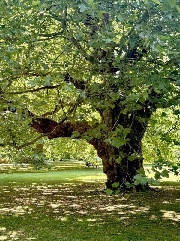 Königliche Gärten - Audley End House