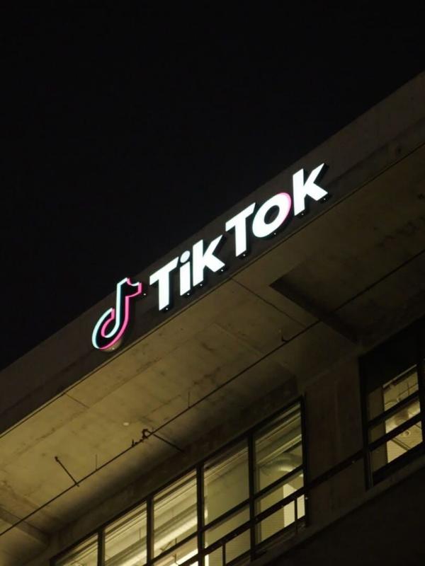 Tik Tok, un réseau sous influence