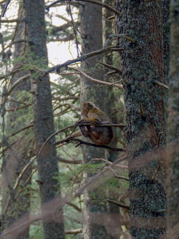 Afrika von oben: Marokko
