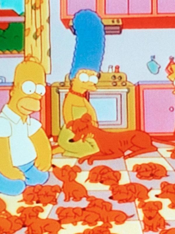 Les Simpson S6 E20