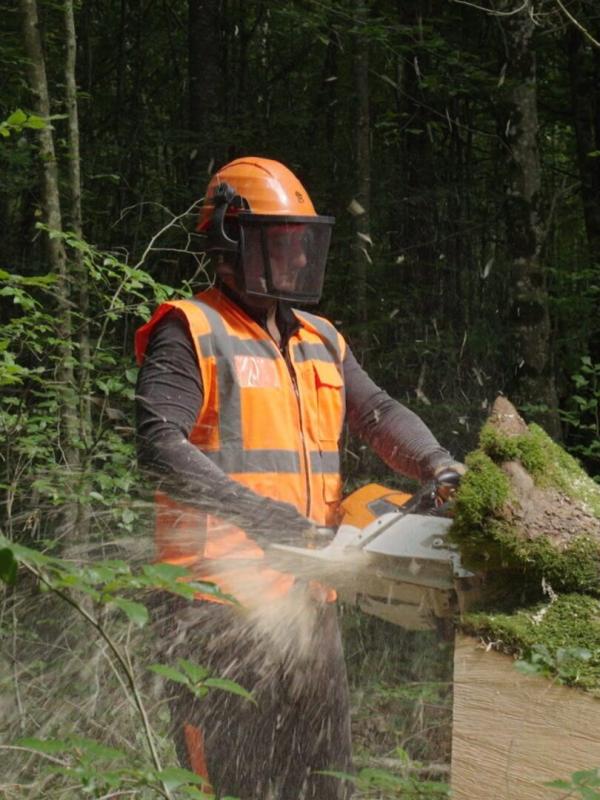 Bûcheron : un métier à hauts risques