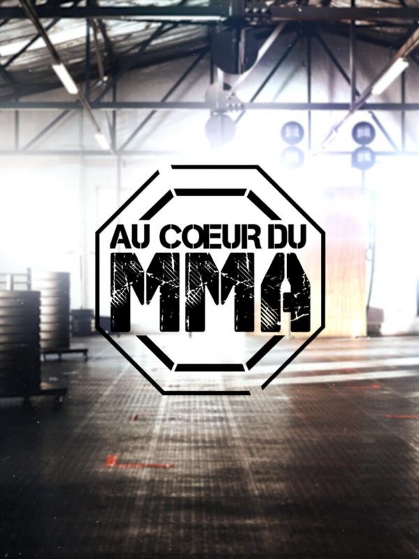 Au cœur du MMA
