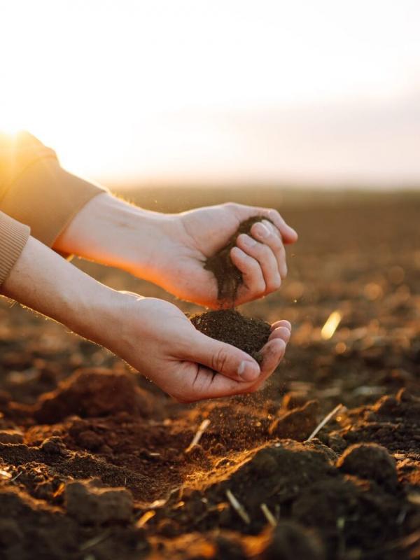 Les maîtres des éléments