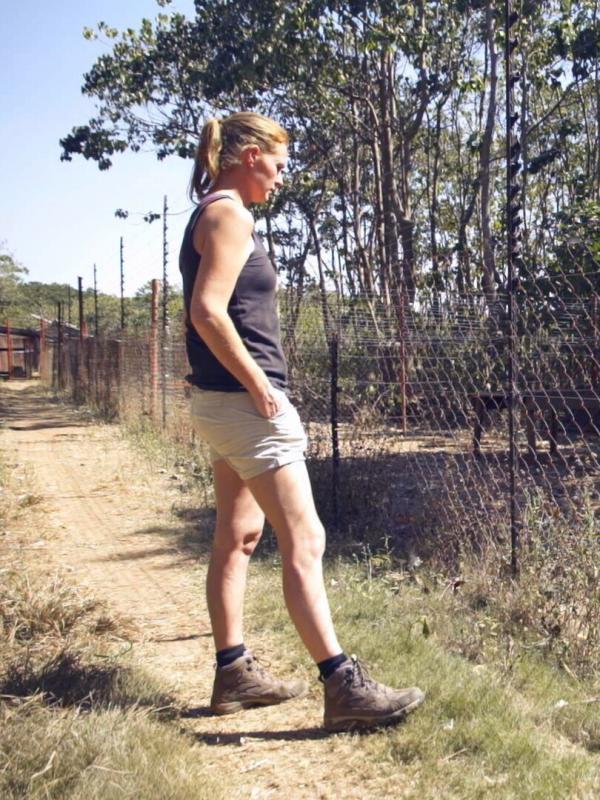 Refuges pour animaux sauvages