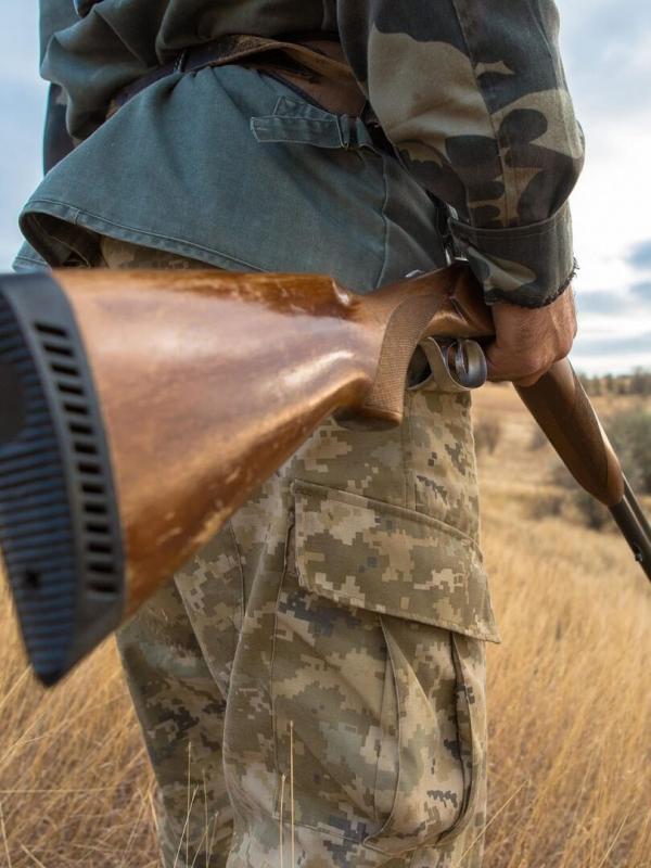 Tous fous du calibre 20