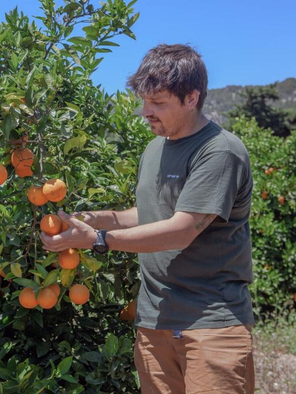 Balearen - Die vier schönen Schwestern: Mallorca - Die Königin