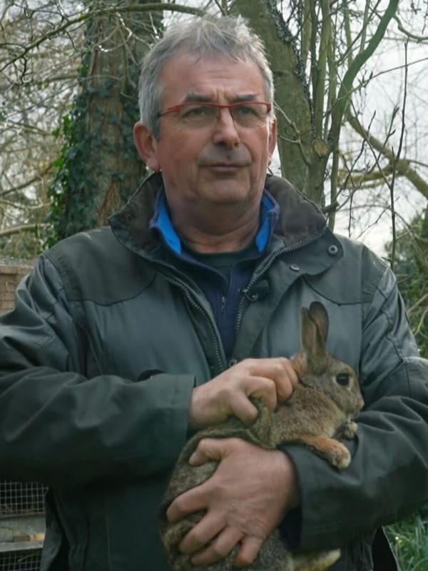 Plaidoyer pour le lapin