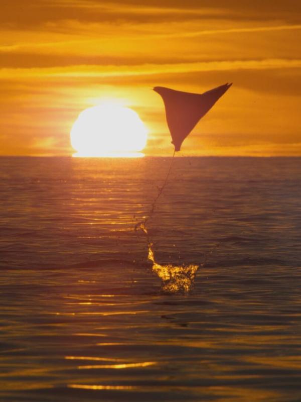 Planet Earth