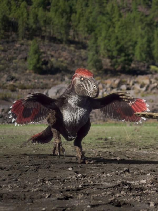 Unter Dinos - Geheimnisse der Urzeit