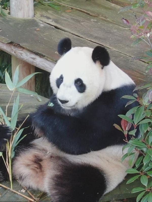 Het echte leven in de dierentuin