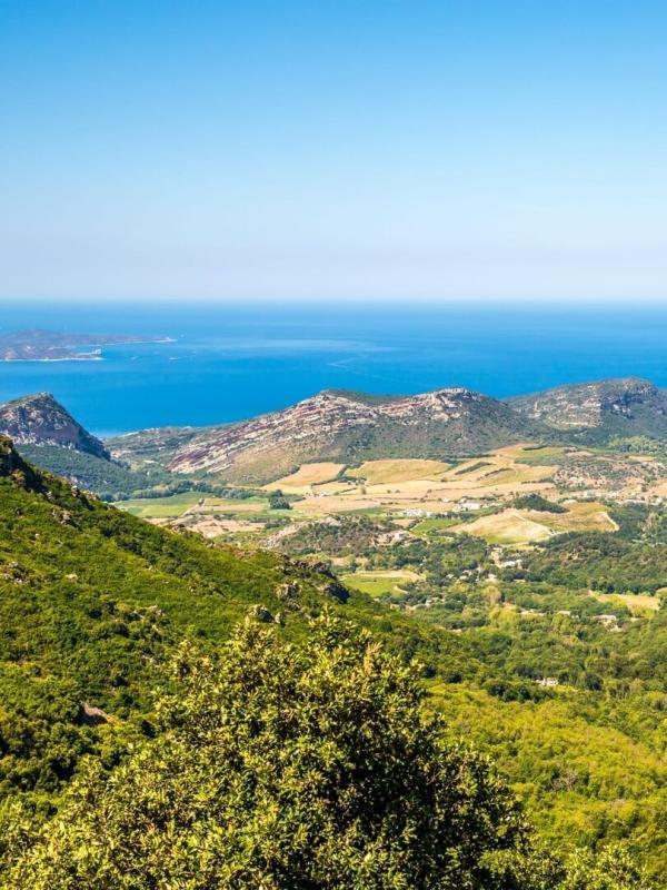 Les visages du crime en région