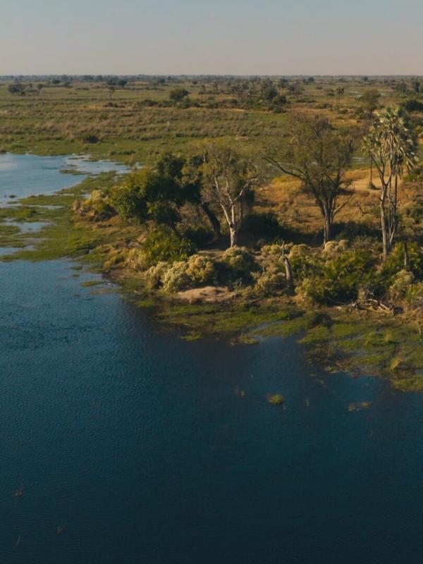 Les îles, laboratoires de la nature