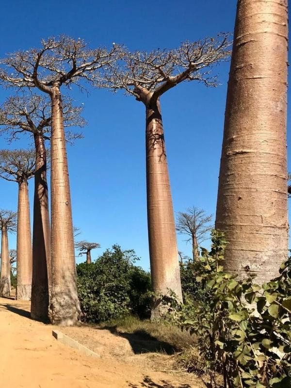 Unbekanntes Madagaskar