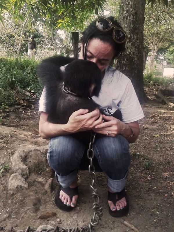 A l'école des chimpanzés