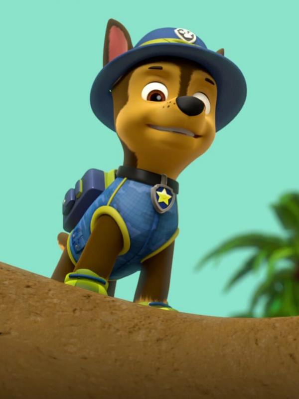 Pat' Patrouille S3 E15