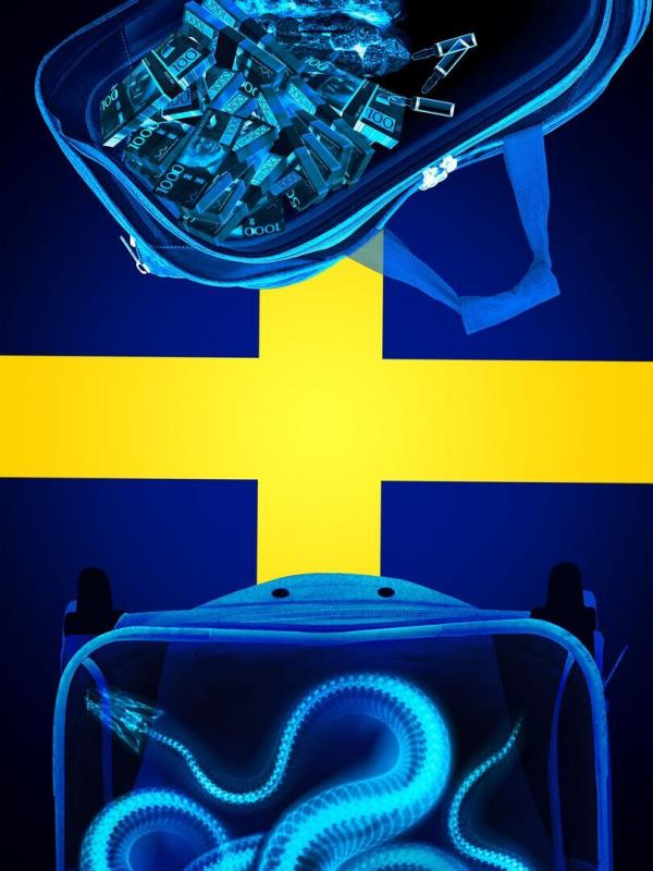 Au cœur des douanes : Suède