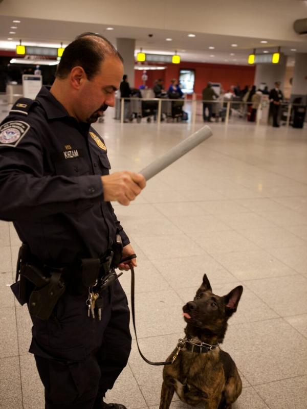 Ultimate Airport USA