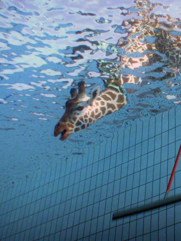 Athleticus S4 E7