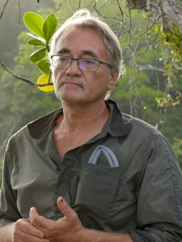 Mystérieux insectes, sur la piste des origines