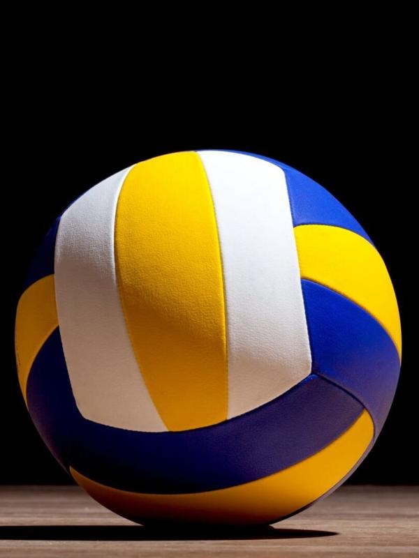 Amriswil / Biogas Volley Näfels