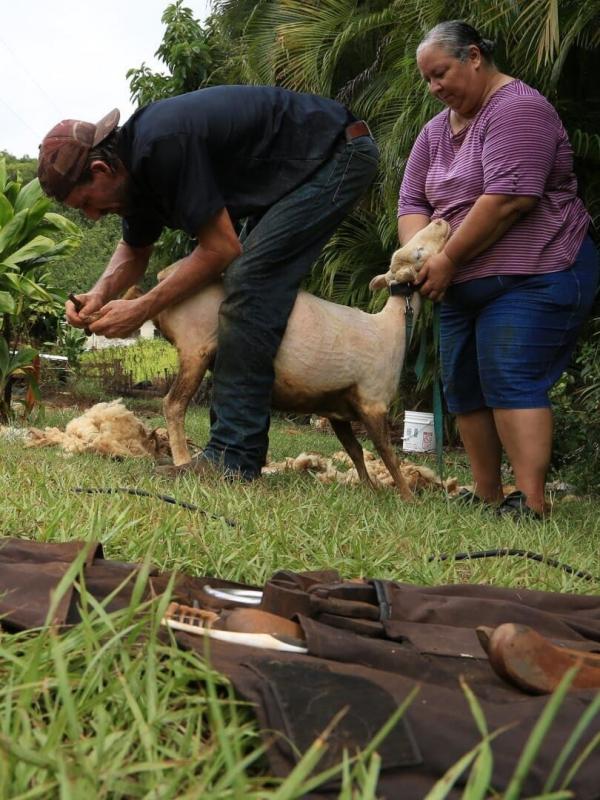 Les aventures du Dr Buckeye Bottoms