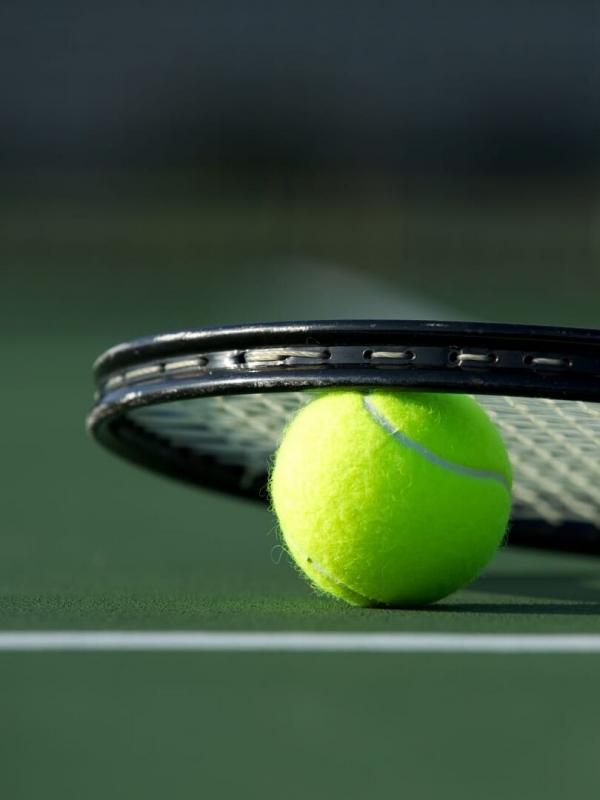 Tennis : Tournoi ATP de Hambourg
