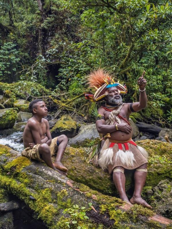 Gardiens de la forêt