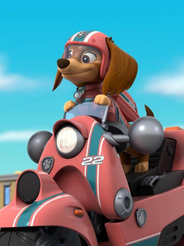 Paw Patrol S9 E1