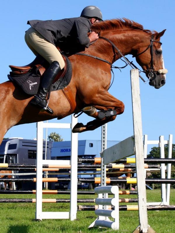 Saut d'obstacles