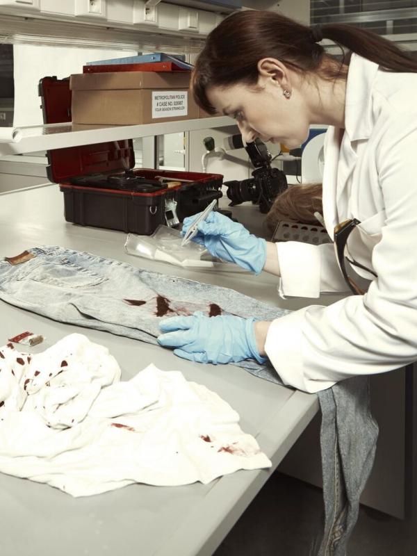 Enquêtes criminelles