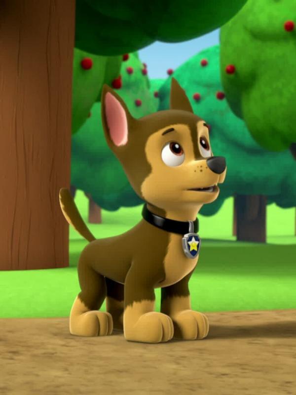 Paw Patrol S1 E1