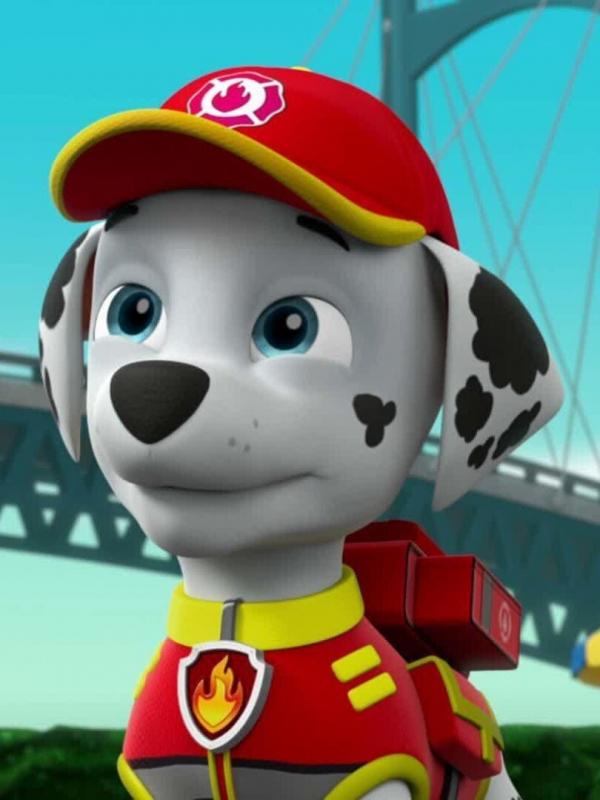 Paw Patrol S5 E1