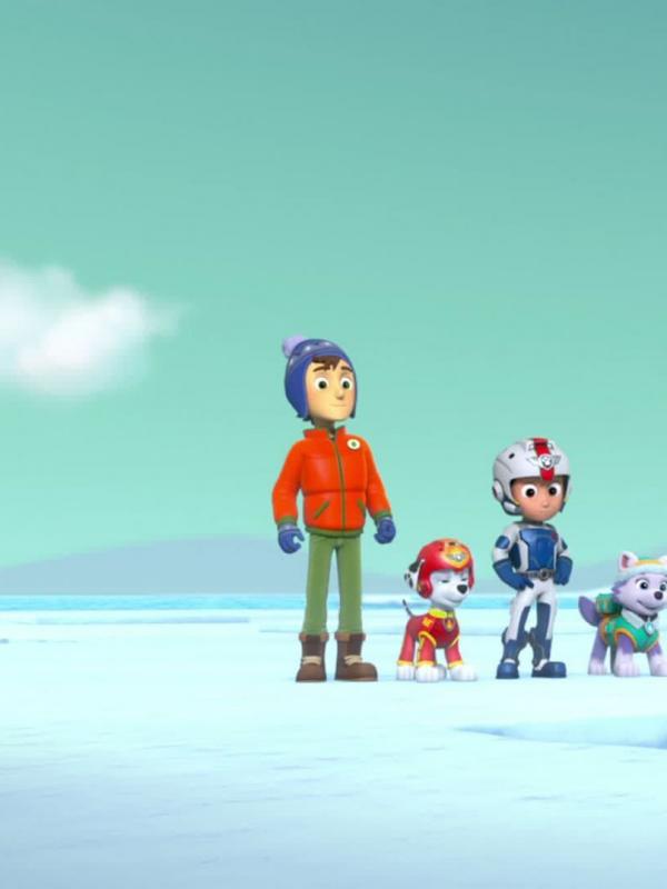 Paw Patrol S3 E20